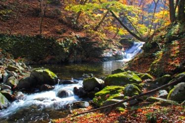 日本の秋の渓谷です